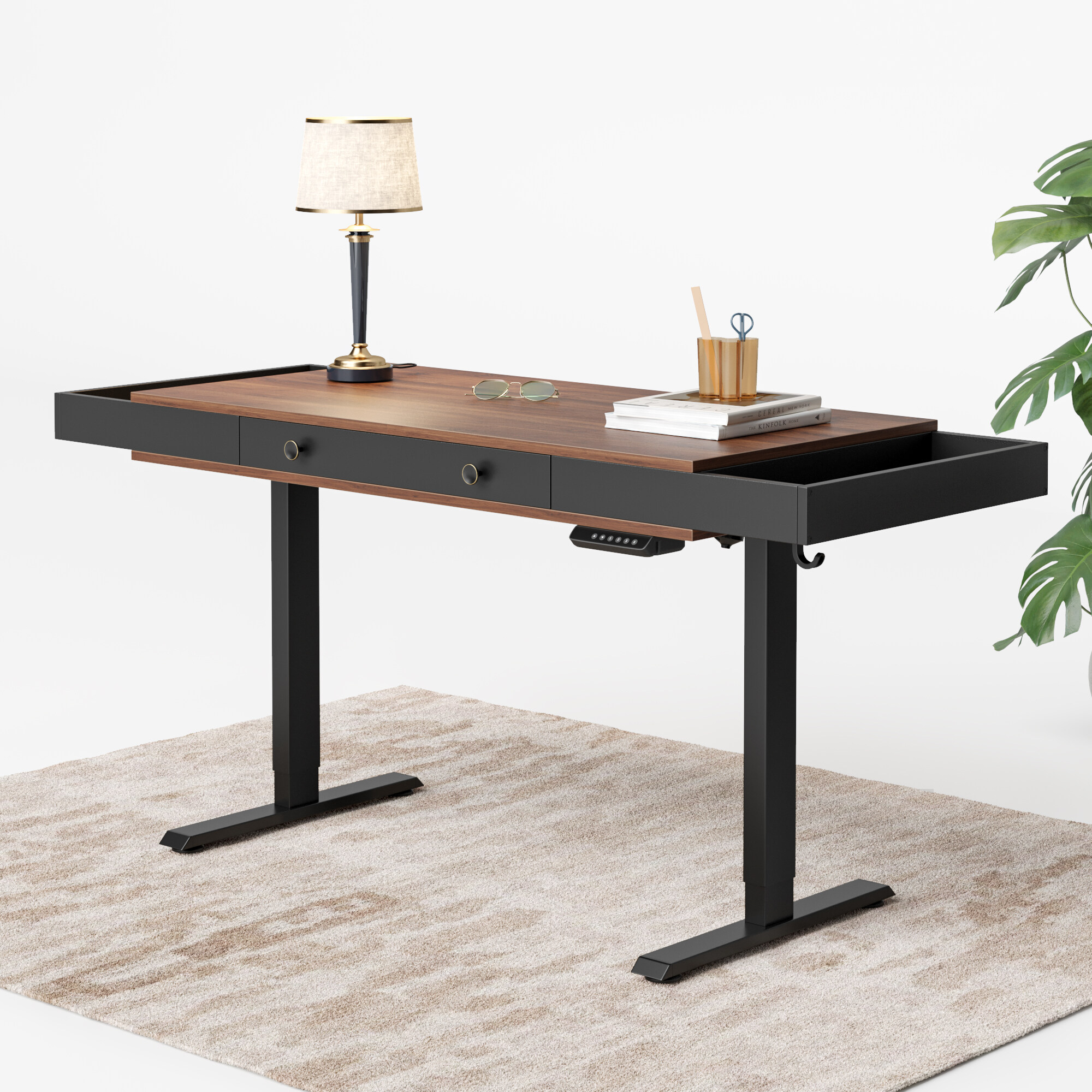 Florence/Black Walnut / 48" x 24"